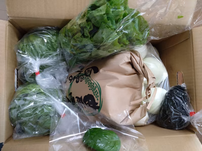 みんなの投稿の画像