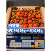 本州最北からお届け！夏秋いちご【内容量700〜800g】