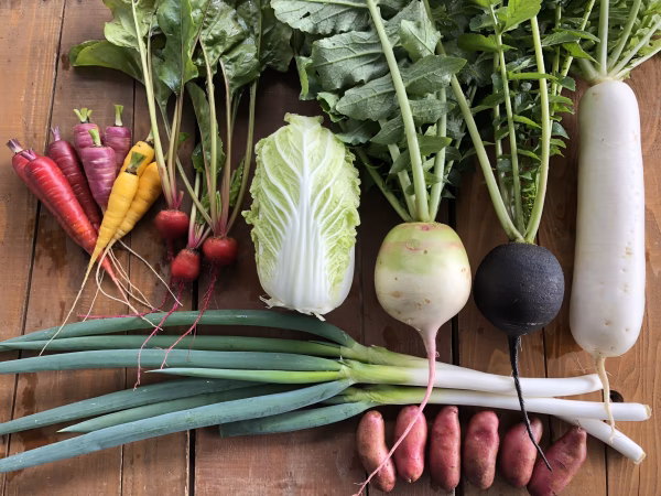 固定種の野菜セット・冬×２倍