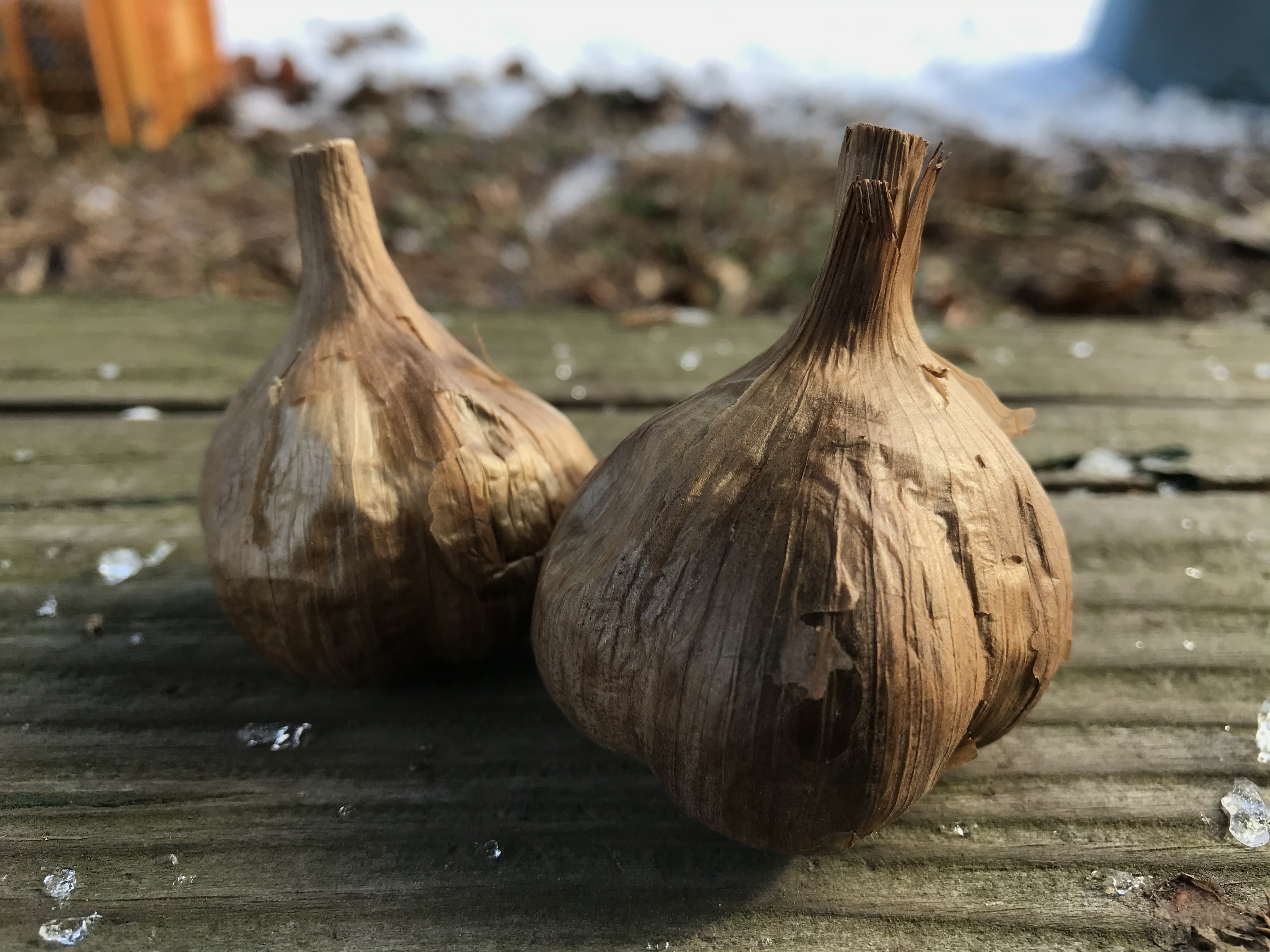 農薬・化学肥料不使用】自然農法で育ったまろやか黒にんにく｜にんにく