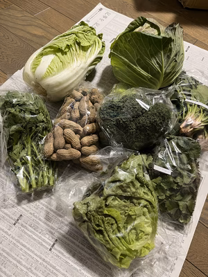 みんなの投稿の画像