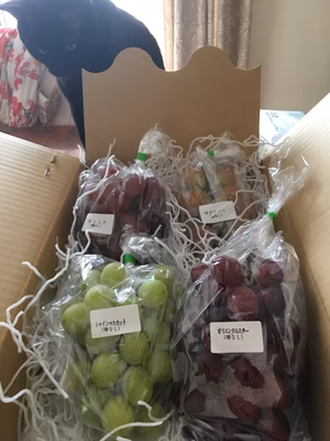 みんなの投稿の画像