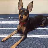 伊邪那岐命（イザじぃ）