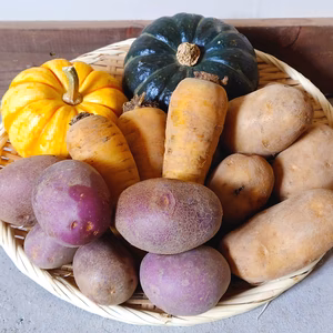 北海道からお届け！野菜の味と甘味を感じる「お得な旬の野菜セット」