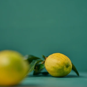 絶品レモン　種がない！！　カンブリア宮殿紹介農家が作ったレモン
