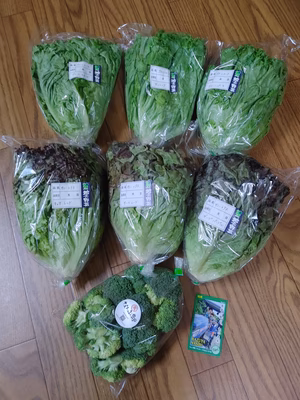 みんなの投稿の画像