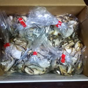 原木乾しいたけスライス