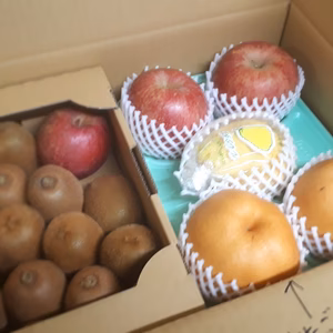 令３　限定５　冬の味覚セット②「キウイ追熟体験set」果物５種