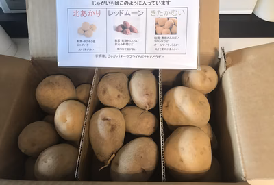 みんなの投稿の画像