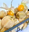 ゴールデンベリー(食用ほおずき) アイス