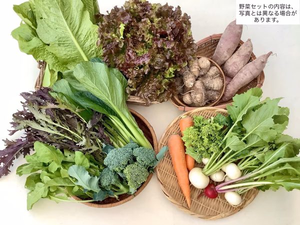 季節の野菜セット  無農薬・化学肥料“不使用”