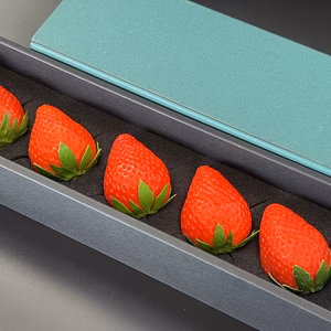 【全国いちご選手権銅賞受賞！】《贈答》美作国の極上苺『武蔵』5粒ギフト