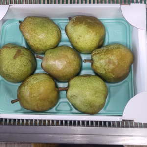 洋梨　ラ・フランス　特大サイズ