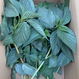 花太郎様専用〜野菜ボックス