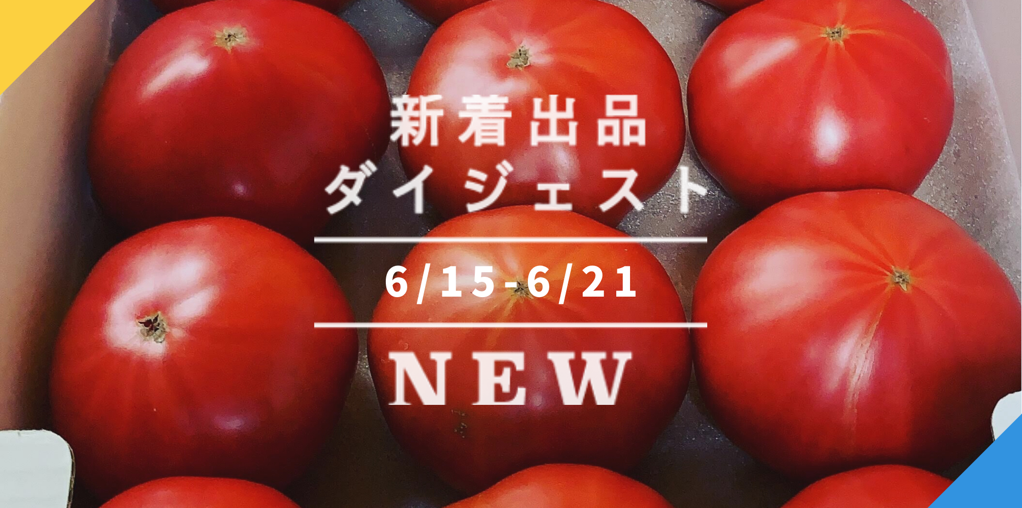 離島は別料金になります熊本、阿蘇の美味しいミニトマト  連絡、注文ページ