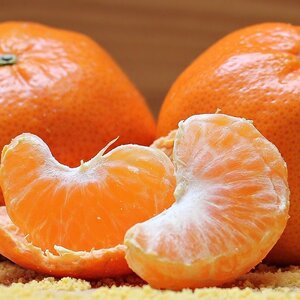 １２月２６日受付終了　甘〜い！甘〜い！和歌山温州みかん　５kg 　