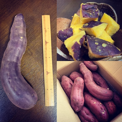 みんなの投稿の画像