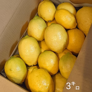 岩城島レモン（農薬不使用）