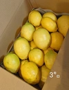 岩城島レモン（農薬不使用）