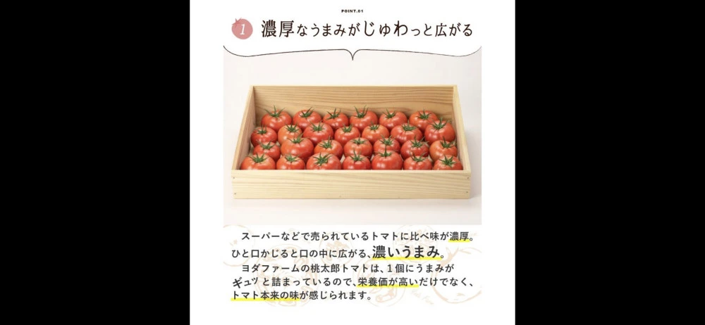 好評につき限定数拡大！【限定B品桃太郎トマト】天然水と日本一の日照量で育てました