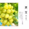 【贈り物に】9月発送！白の極み – 贅沢な白ぶどう食べ比べ3種