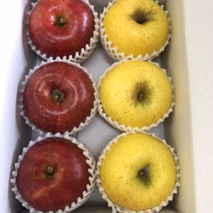 飛騨リンゴ２色詰め（シナノスイート・シナノゴールド）