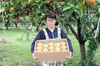 【極甘】長野県で作られた和梨の「南水」