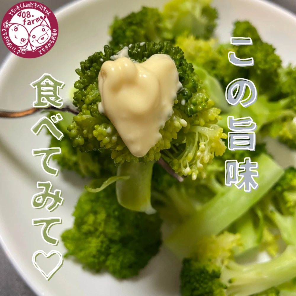 【鮮度バツグン♡】栃木県産ブロッコリー！６〜8個　花野菜　ぶろっこりー 旬の野菜