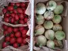 イスラエル品種のトマト2種と新玉ねぎセット★合計2kg