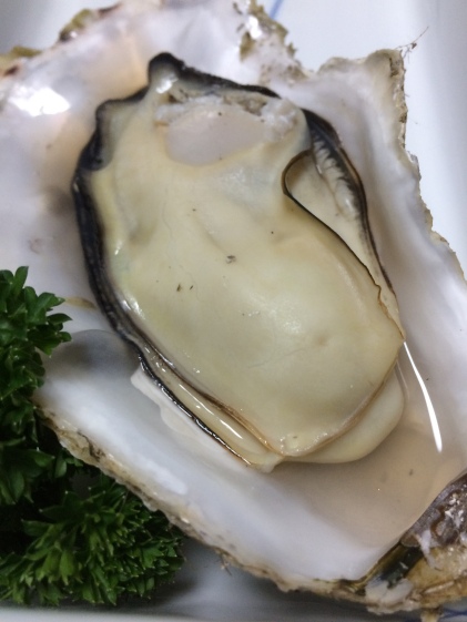 牡蠣バカがつくる米崎牡蠣 生食用 お試し食べ頃サイズ5個 小サイズ 農家漁師から産地直送の通販 ポケットマルシェ