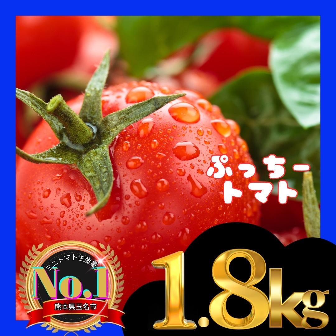 ミニトマト 1.8kg 野菜 熊本産 サイズ混合 ミネラル にがり 弁当