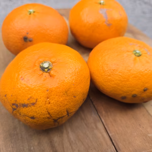 甘平　Ｂ品　傷あり訳あり