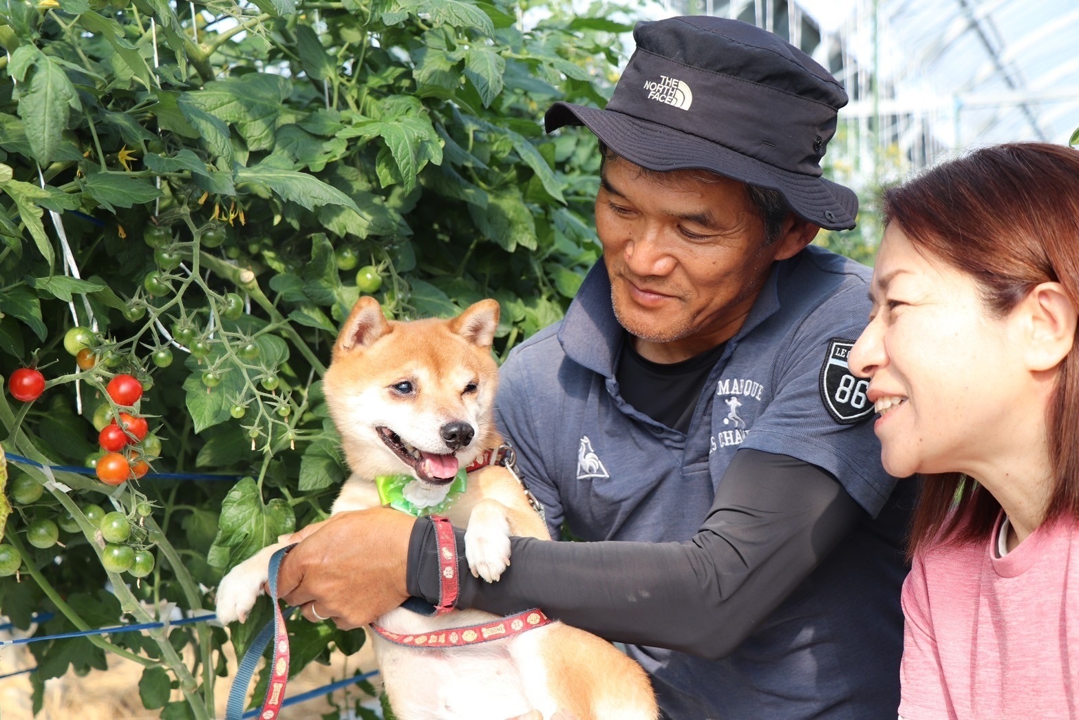 熊本県宇城市｜コウ農園｜久原光ニさんの生産者プロフィール｜ポケット