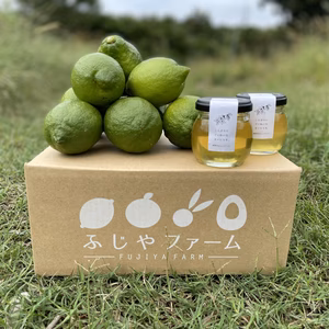 【夢のレモハチセット】大崎上島産レモン1キロ　みかんハチミツ2本