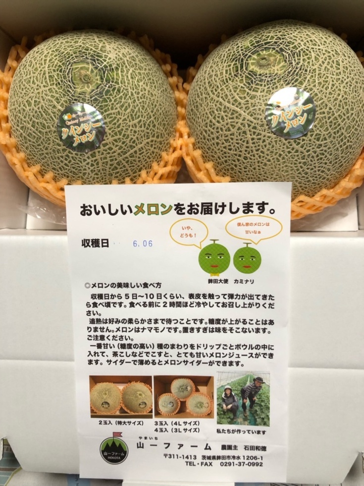 ツ　千葉県産　最上級極甘メロン　ジャンボ5Lサイズ　2玉入り　4.5kg前後