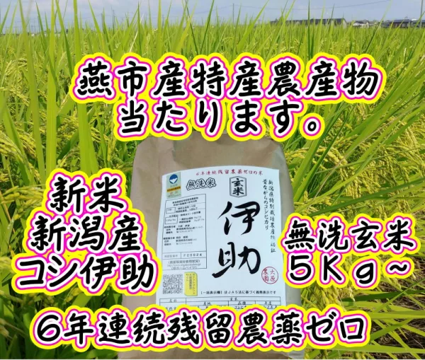 新米”新潟産コシヒカリ伊助 ６年連続残留農薬ゼロ　無洗玄米5Ｋｇ 
