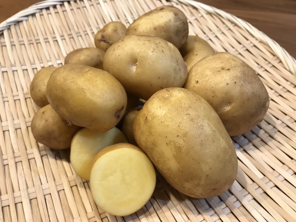 じゃがいもの通販・お取り寄せ商品｜野菜｜ポケットマルシェ