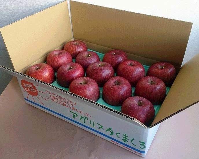 長野生れの希少りんご『シナノホッペ』家庭用約２kg☆硬くて甘くてジューシー！