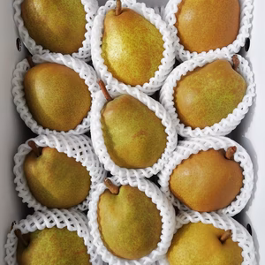 【数量限定】ラ・フランス家庭用小玉