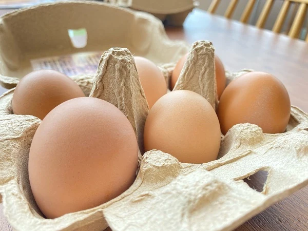 【ギフト用】福地鶏の栄養満点「初卵」