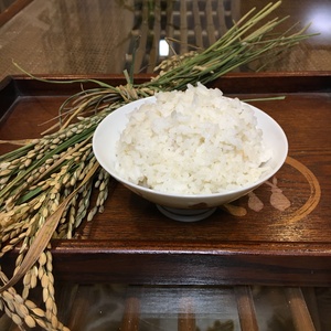 令和2年「合鴨米」白米1kg 栽培期間中農薬不使用 熊本県産 ヒノヒカリ