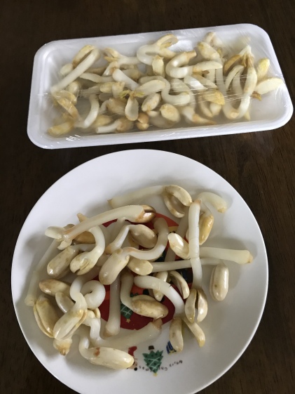 落花生の風味がそのまま ピーナッツもやし 農家漁師から産地直送の通販 ポケットマルシェ