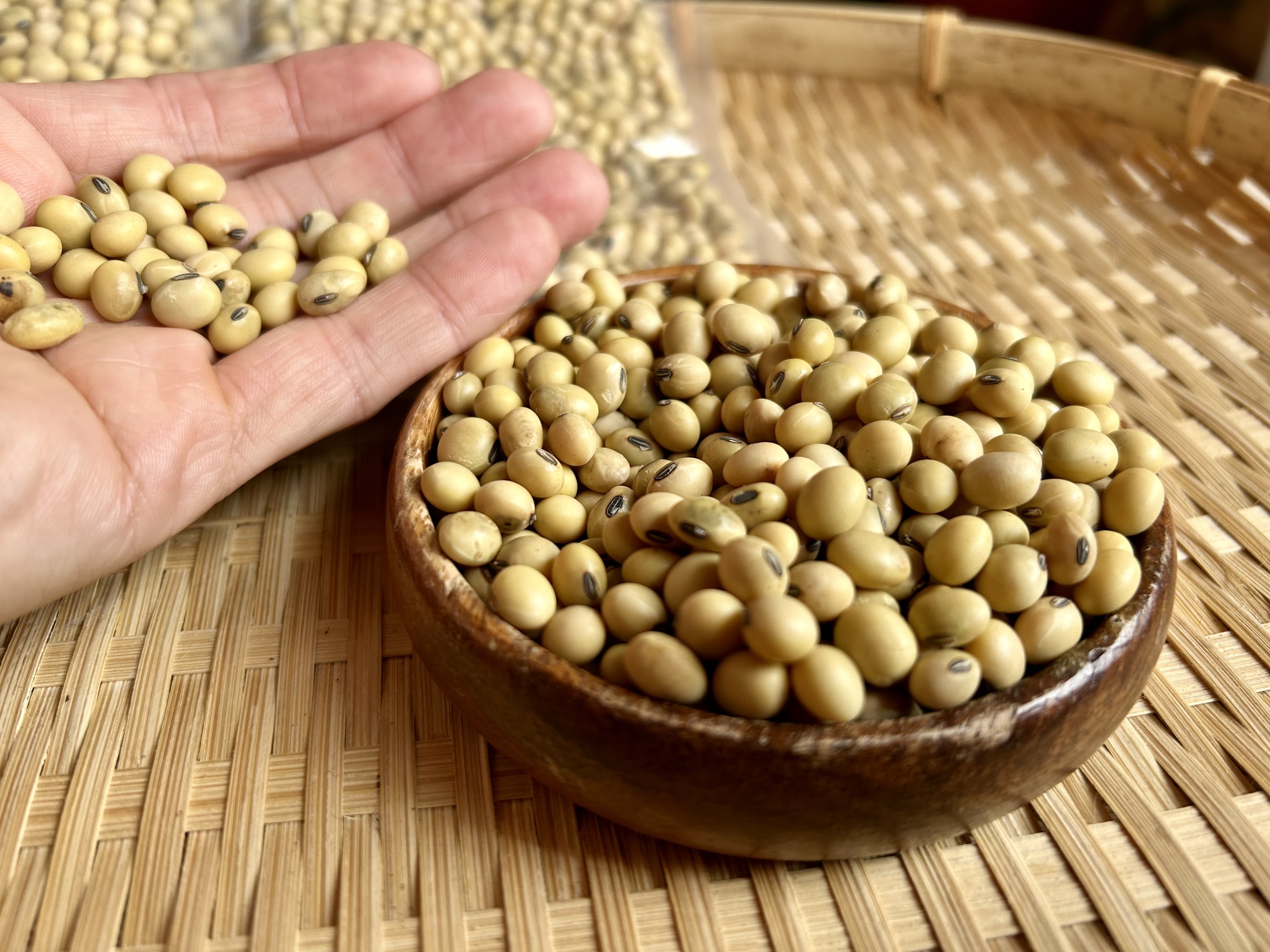 奥出雲産自然栽培八天狗豆(130g×2袋)｜その他の豆類の商品詳細