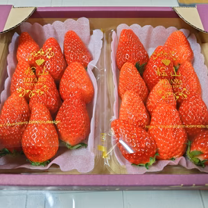 茨城県産いちご ２パック×１箱【やよいひめ】特大DX