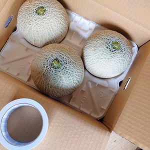 【５月発送】３玉4Ｌ(特大)サイズ★クインシーメロン【予約】