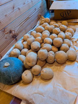 みんなの投稿の画像