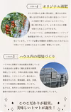 受賞歴３回！訳ありソムリエトマト　②のオマケ　希少な高濃度フルーツトマト