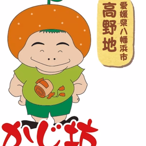 送料無料！！ワケアリ！　かじ坊みかん♪ 5kｇ