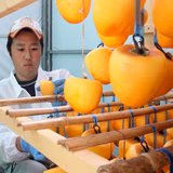 手塚有紀 | フルーツマルタイ農園