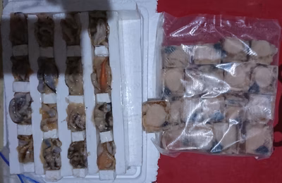 みんなの投稿の画像